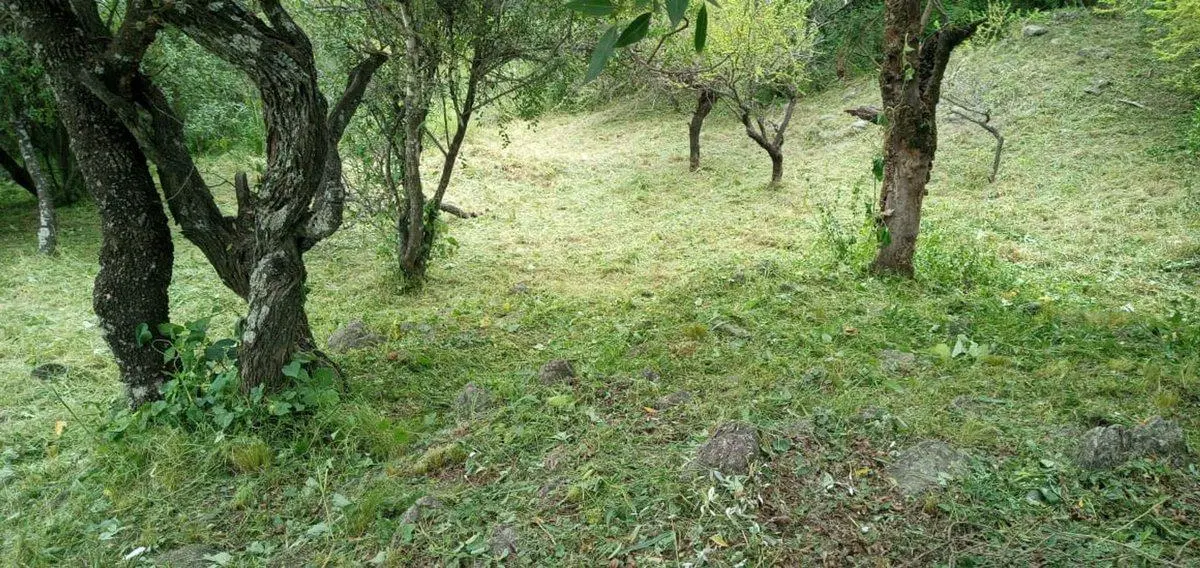 SE VENDE LOTE EN TIERRALTA MACRO LOTE 5 3