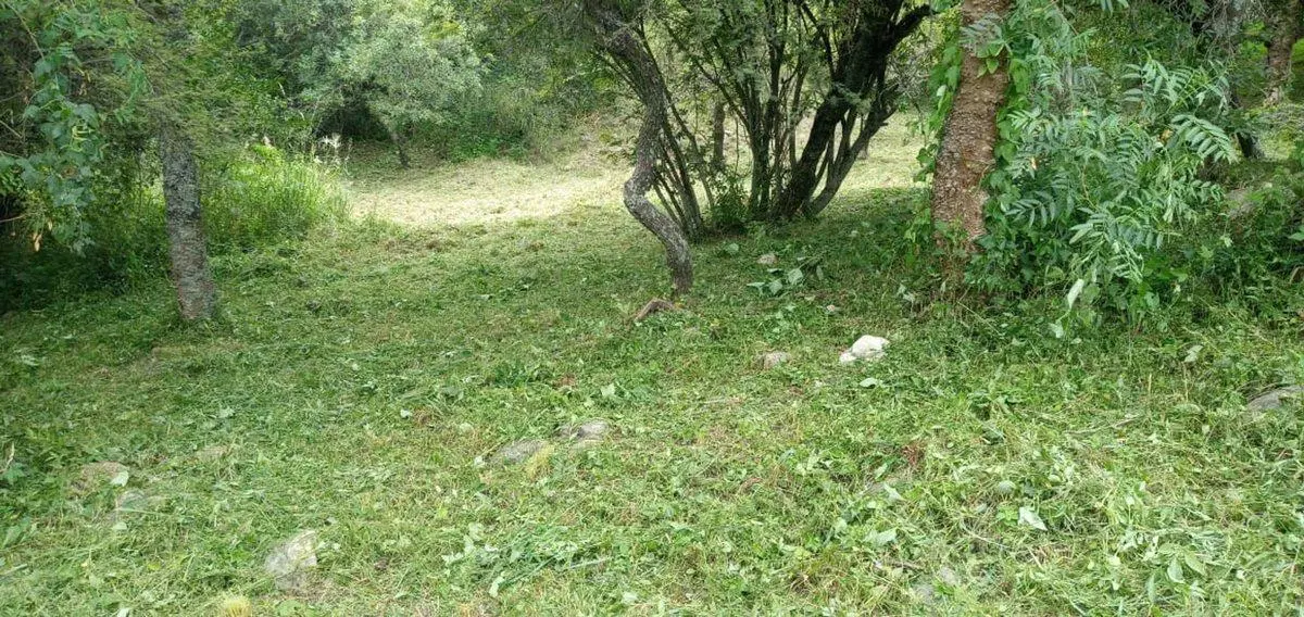 SE VENDE LOTE EN TIERRALTA MACRO LOTE 5 5