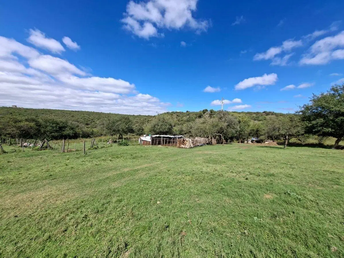 VENTA CAMPO 78 HECTAREAS VILLA DEL DIQUE 2
