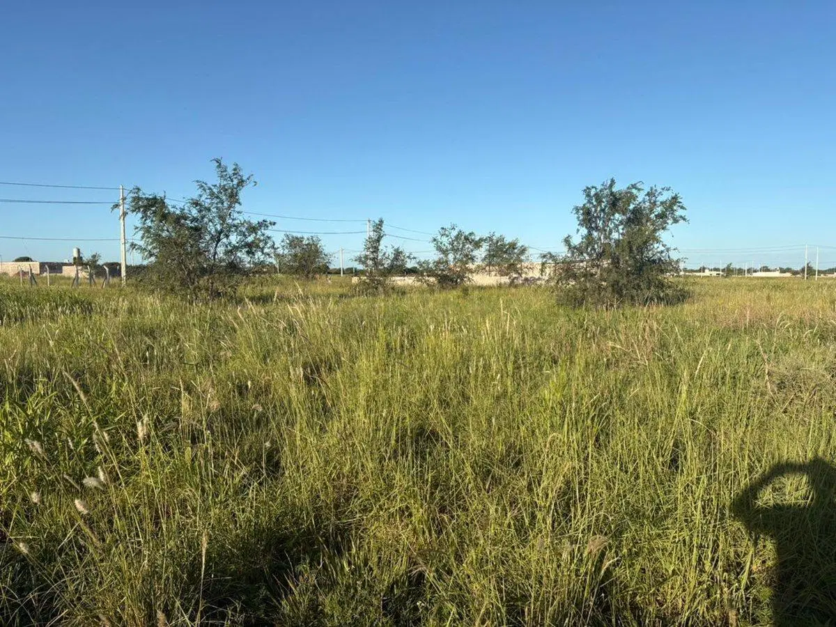 Se vende terreno de 281 m2 en Juárez Celman 4