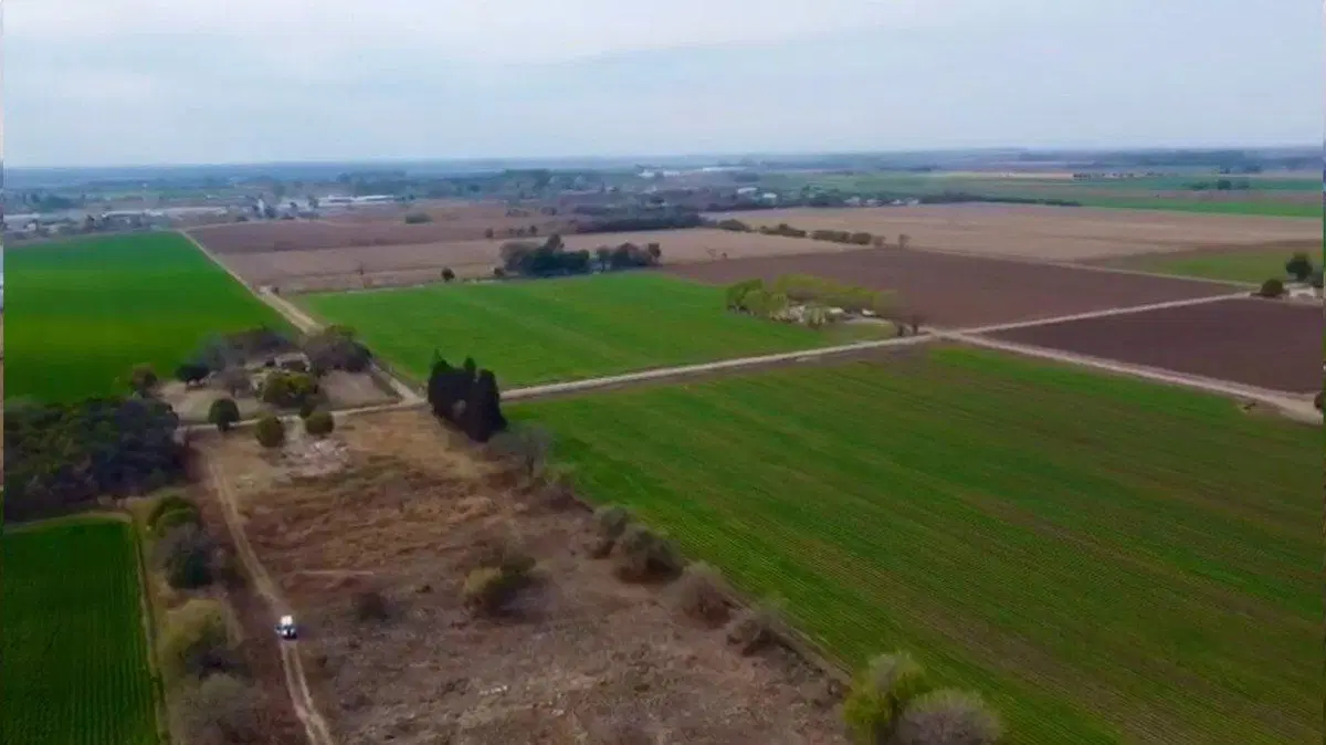 VENTA LOTE 61755 MTRS ESTACION FERREYRA  RUTA 9 2