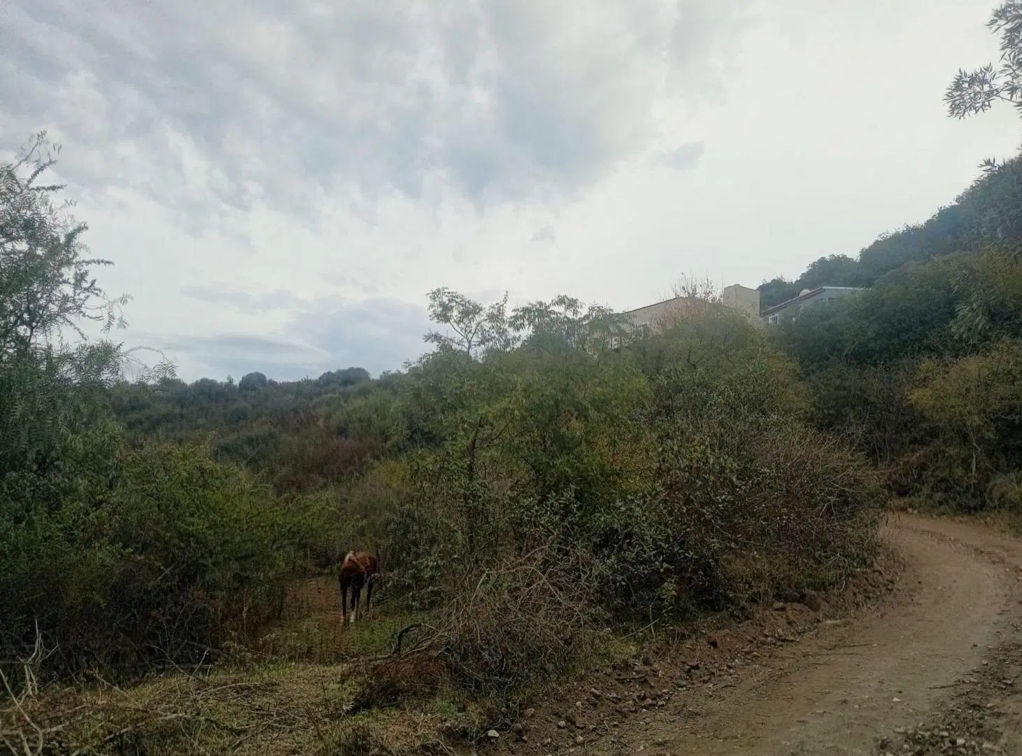 VENTA TERRENO 1916m2 AGUA DEL PEÑON RIO CEBALLOS 5