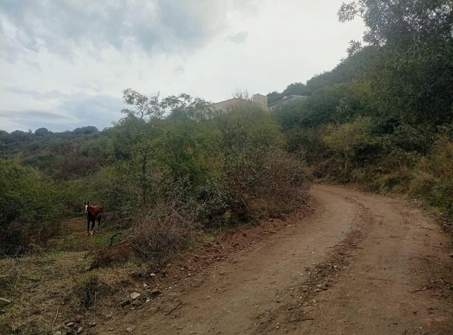 VENTA TERRENO 1916m2 AGUA DEL PEÑON RIO CEBALLOS 4