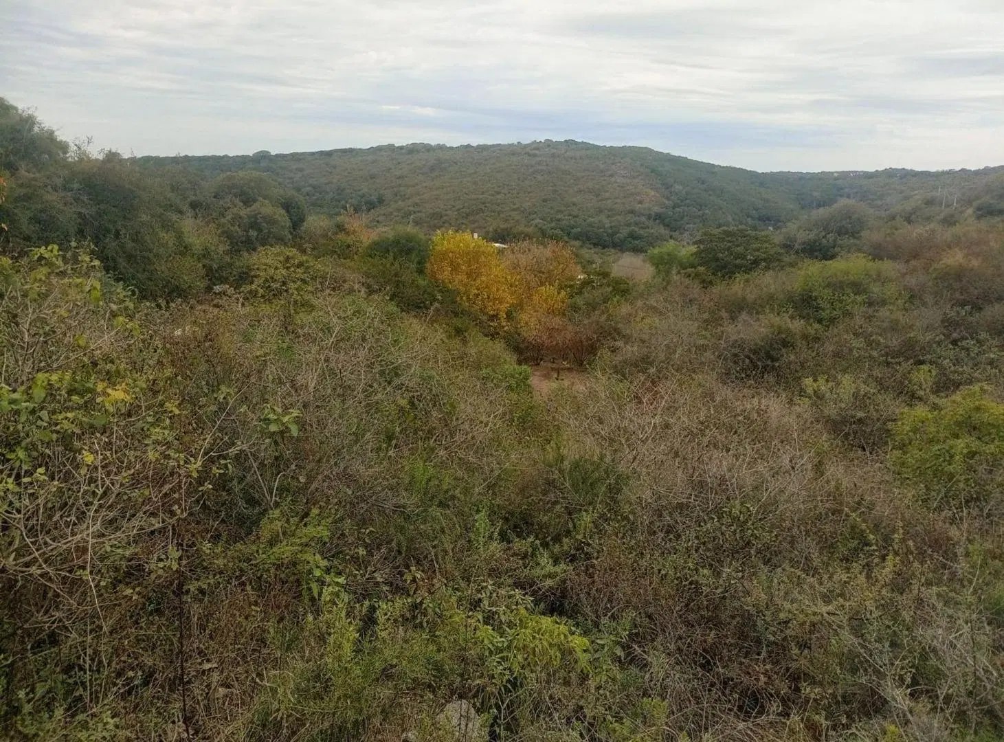 VENTA TERRENO 1916m2 AGUA DEL PEÑON RIO CEBALLOS 3