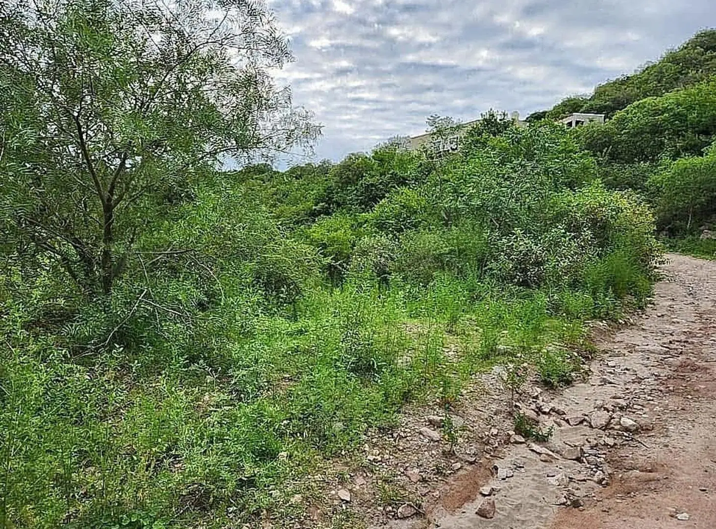 VENTA TERRENO 1916m2 AGUA DEL PEÑON RIO CEBALLOS 2