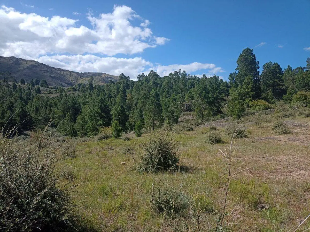VENTA 5,2 HCT EN CUMBRECITA PERMUTA FINANCIA. 4