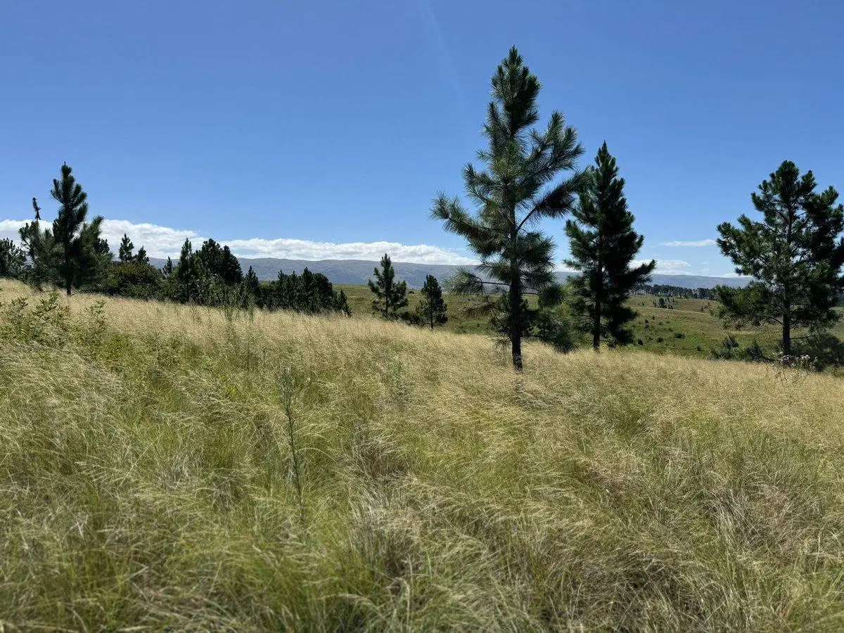 VENTA TERRENOS EN VILLA BERNA – FRENTE A LA RUTA 5