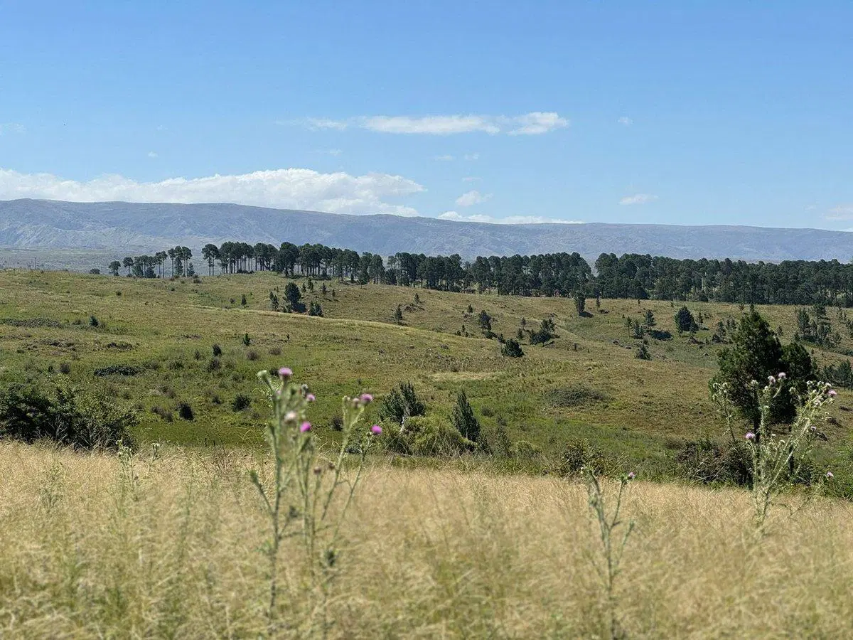 VENTA TERRENOS EN VILLA BERNA – FRENTE A LA RUTA 4