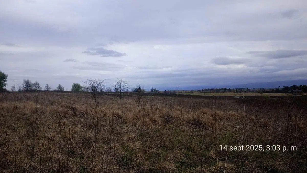 SE VENDE HERMOSO CAMPO DE 3 ,3 HAS EN YACANTO 6