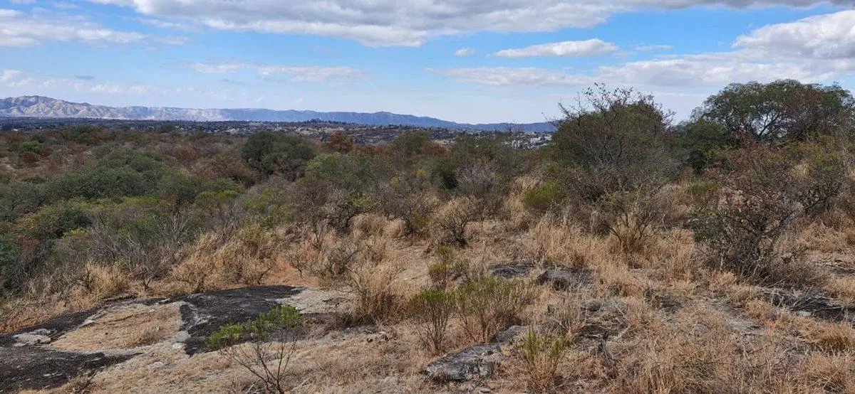 TERRENO 16 HECTAREAS CON BAJADA AL RIO TANTI NUEVO 2