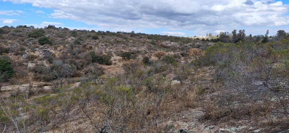 TERRENO 16 HECTAREAS CON BAJADA AL RIO TANTI NUEVO 4