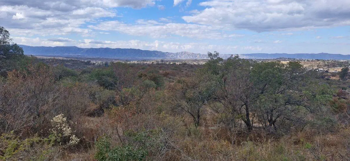 TERRENO 16 HECTAREAS CON BAJADA AL RIO TANTI NUEVO 8
