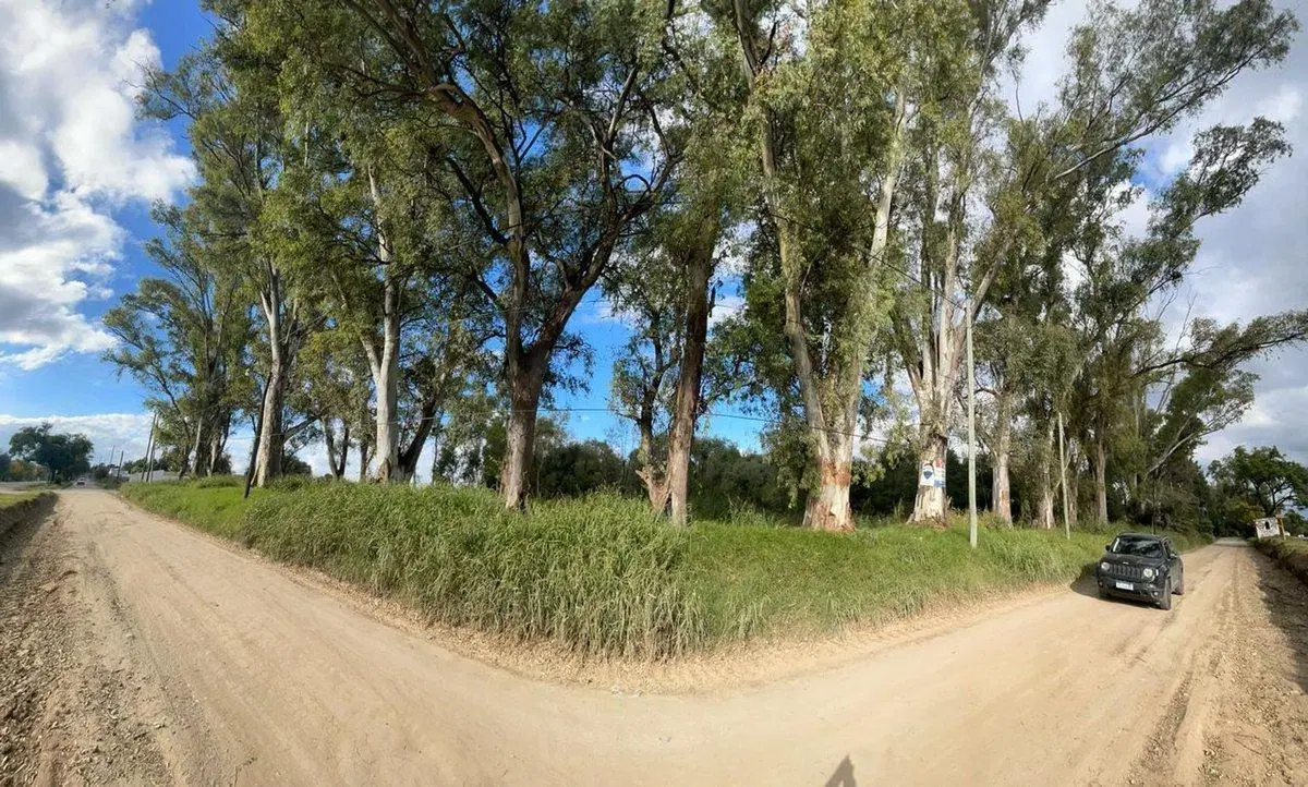 VENTA LOTE  RUTA 5 ANISACATE - 4805 M2. ESCRITURA 5