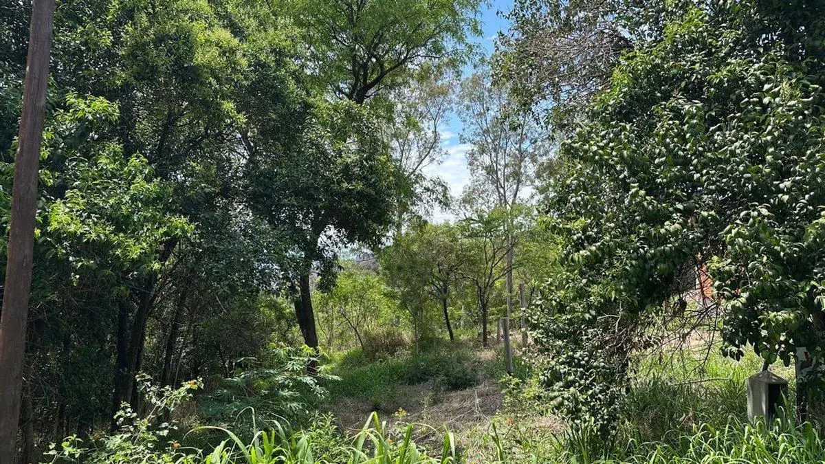 LOTE EN VENTA EN RIO CEBALLOS 534 M2 8