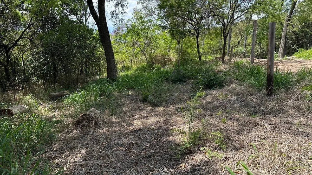 LOTE EN VENTA EN RIO CEBALLOS 534 M2 2