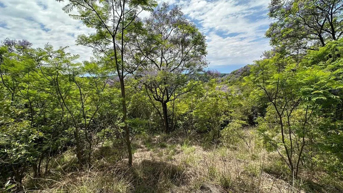 LOTE EN VENTA EN RIO CEBALLOS 534 M2 3