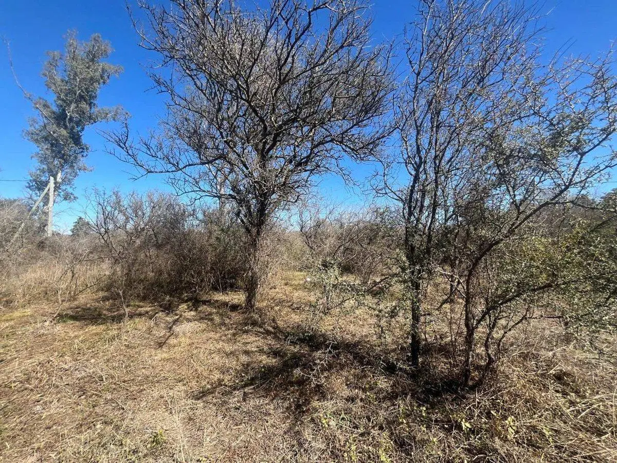 LOTE CON ARBOLES NATIVOS EN VILLA RIO ANISACATE 4
