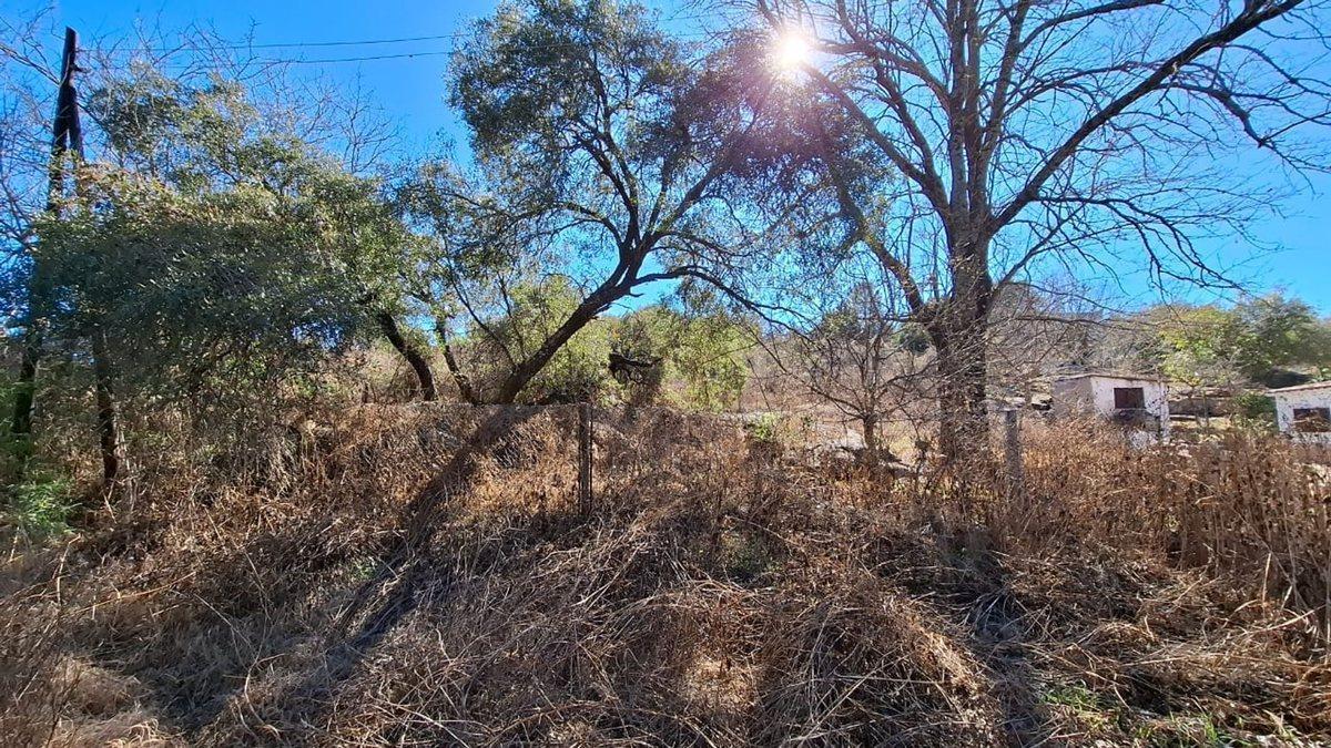 Foto de Venta lote 3040m2 en Tanti a metros de la ruta., imagen 5