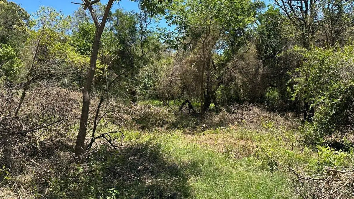 VENTA 2 LOTES  DE 440 Y 400  MT EN RIO CEBALLOS 8