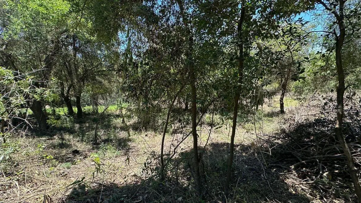VENTA 2 LOTES  DE 440 Y 400  MT EN RIO CEBALLOS 3