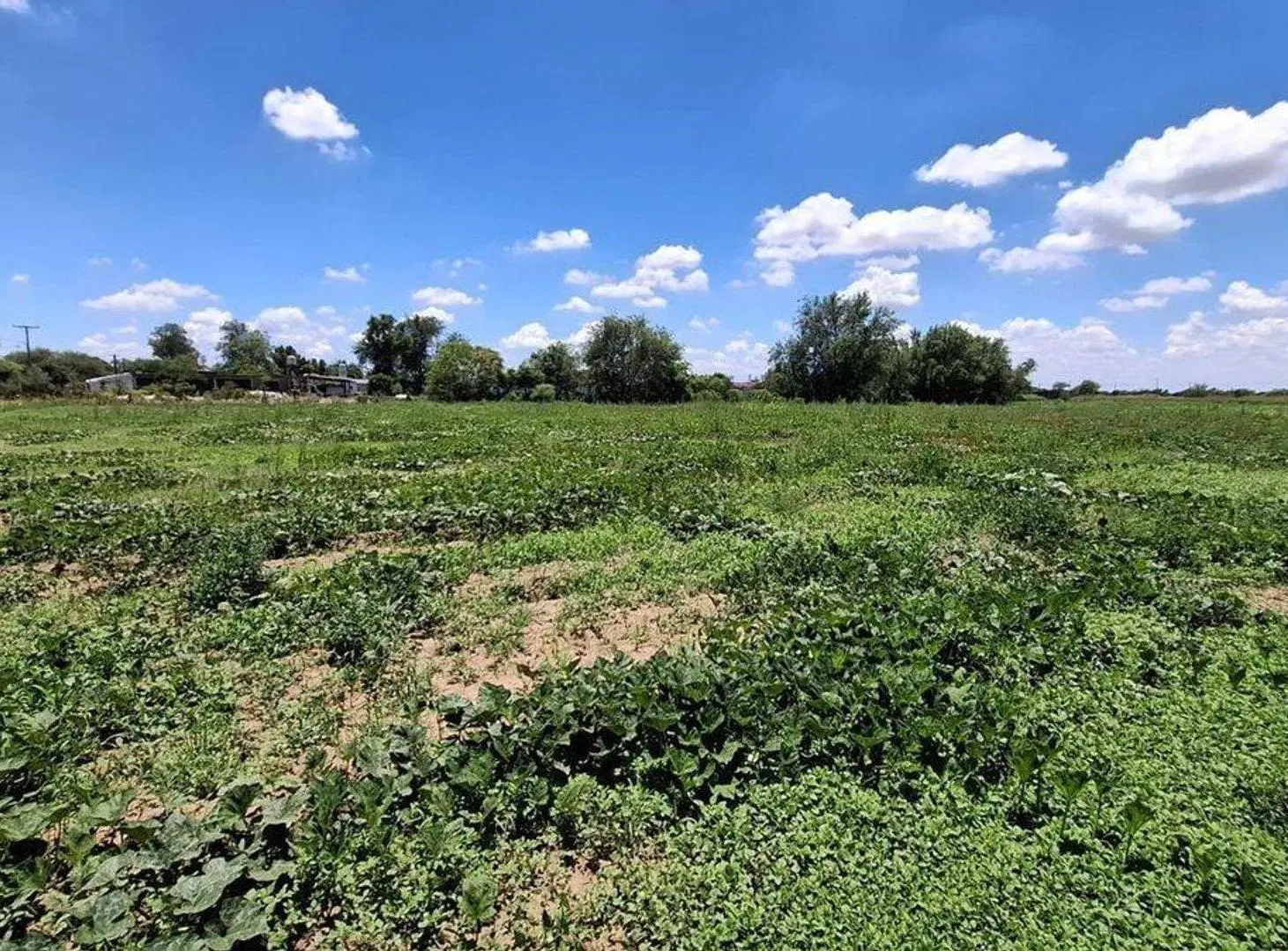 VENTA TERRENO 7500 M2 APTO INDUSTRIAL RIO PRIMERO 2