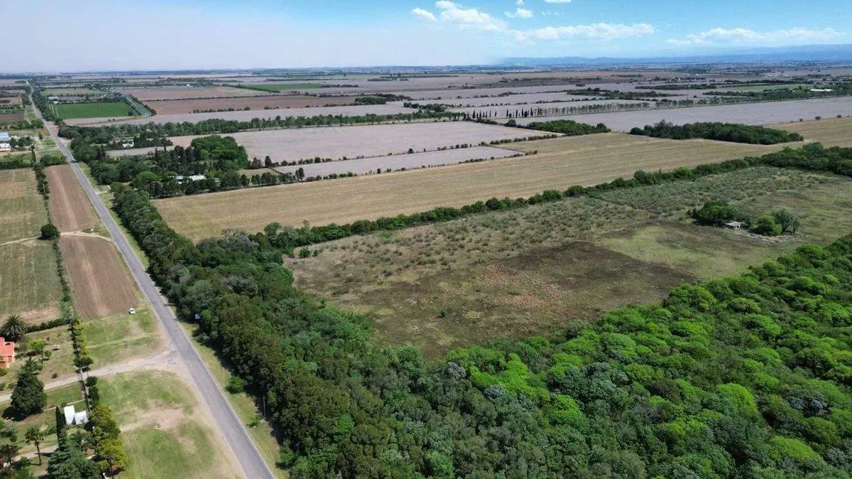 VENTA LOTE 25.000 MTRS. CAMINO SAN CARLOS KM 12,5 3