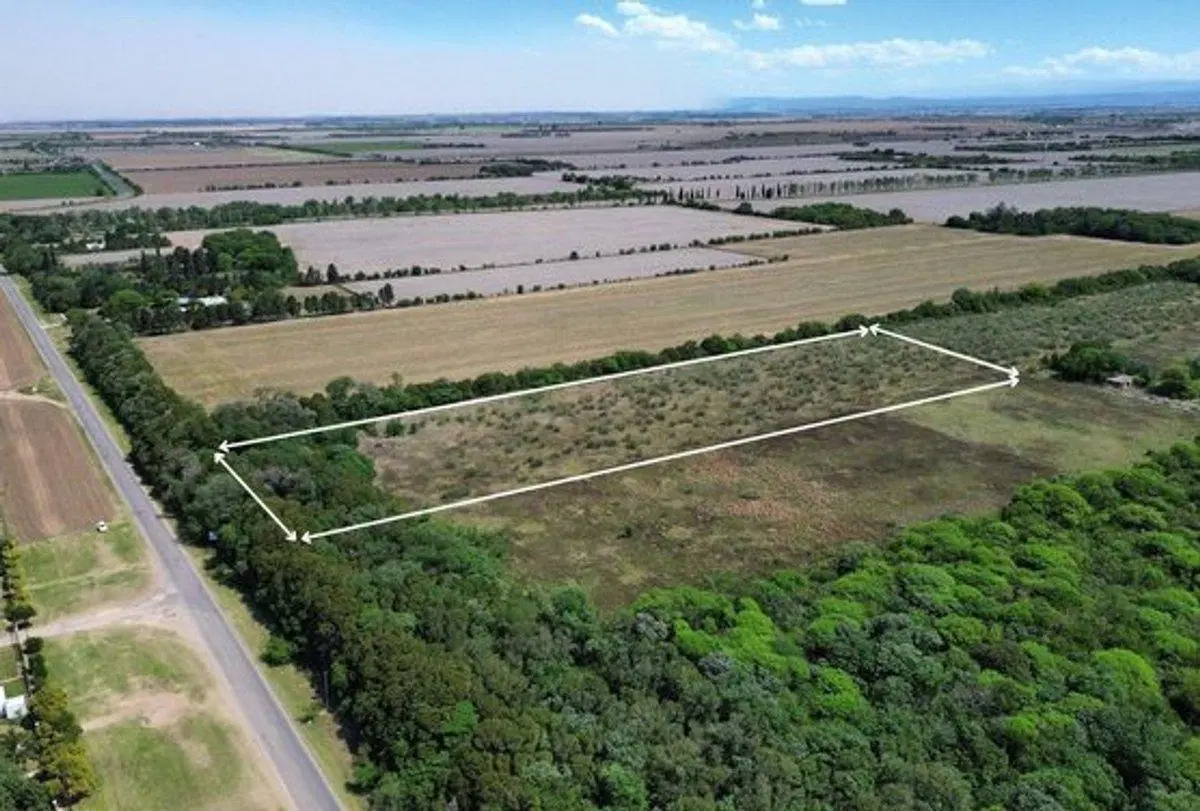 VENTA LOTE 25.000 MTRS. CAMINO SAN CARLOS KM 12,5 8