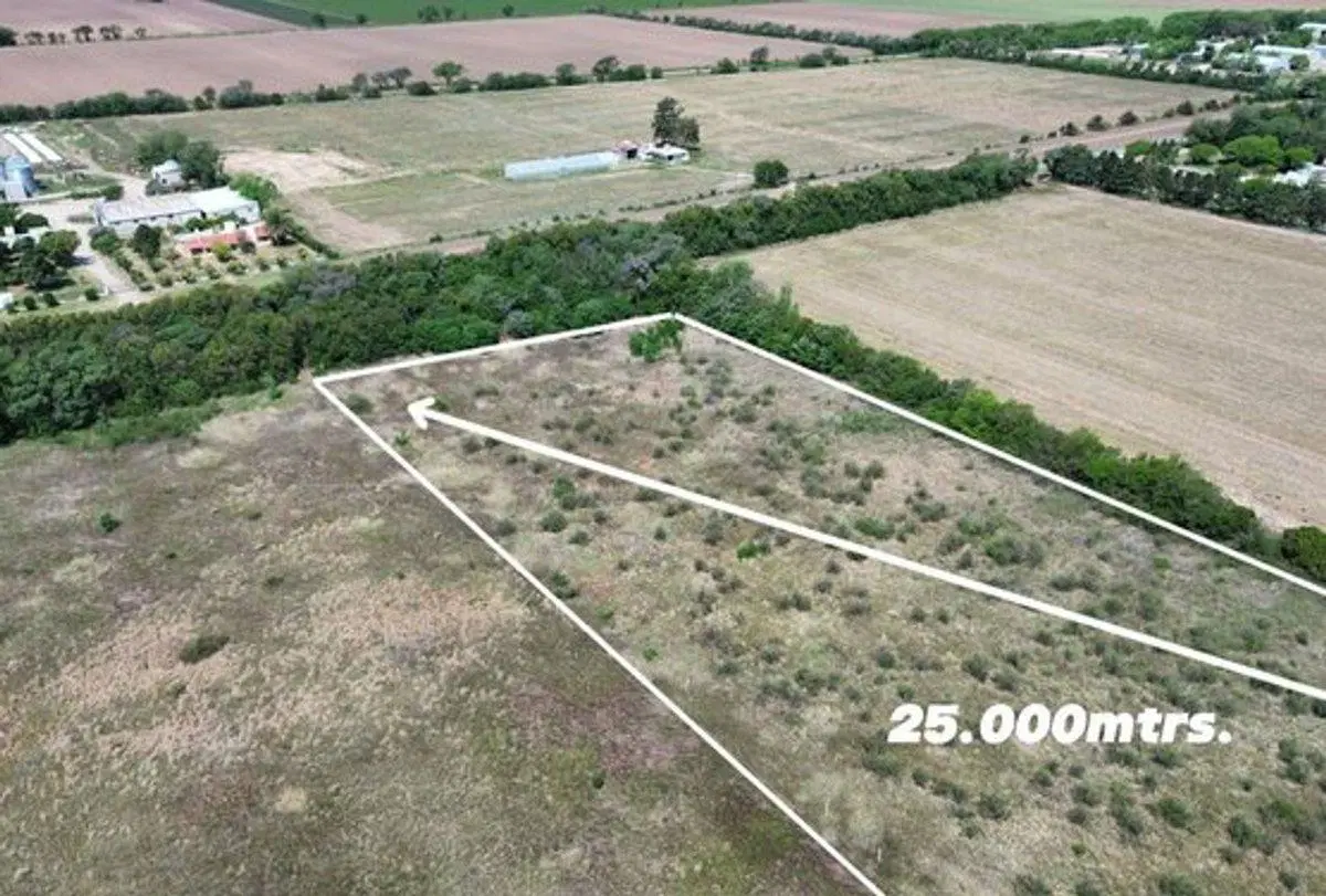 VENTA LOTE 25.000 MTRS. CAMINO SAN CARLOS KM 12,5 5