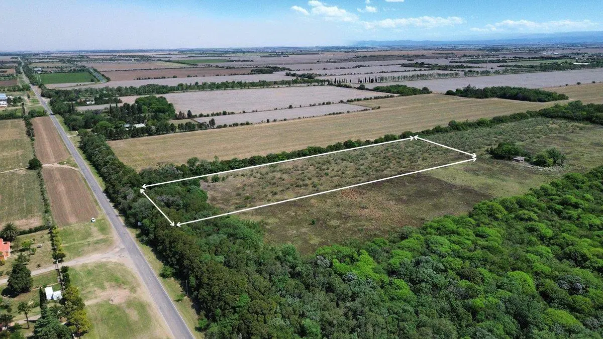 VENTA LOTE 25.000 MTRS. CAMINO SAN CARLOS KM 12,5 2
