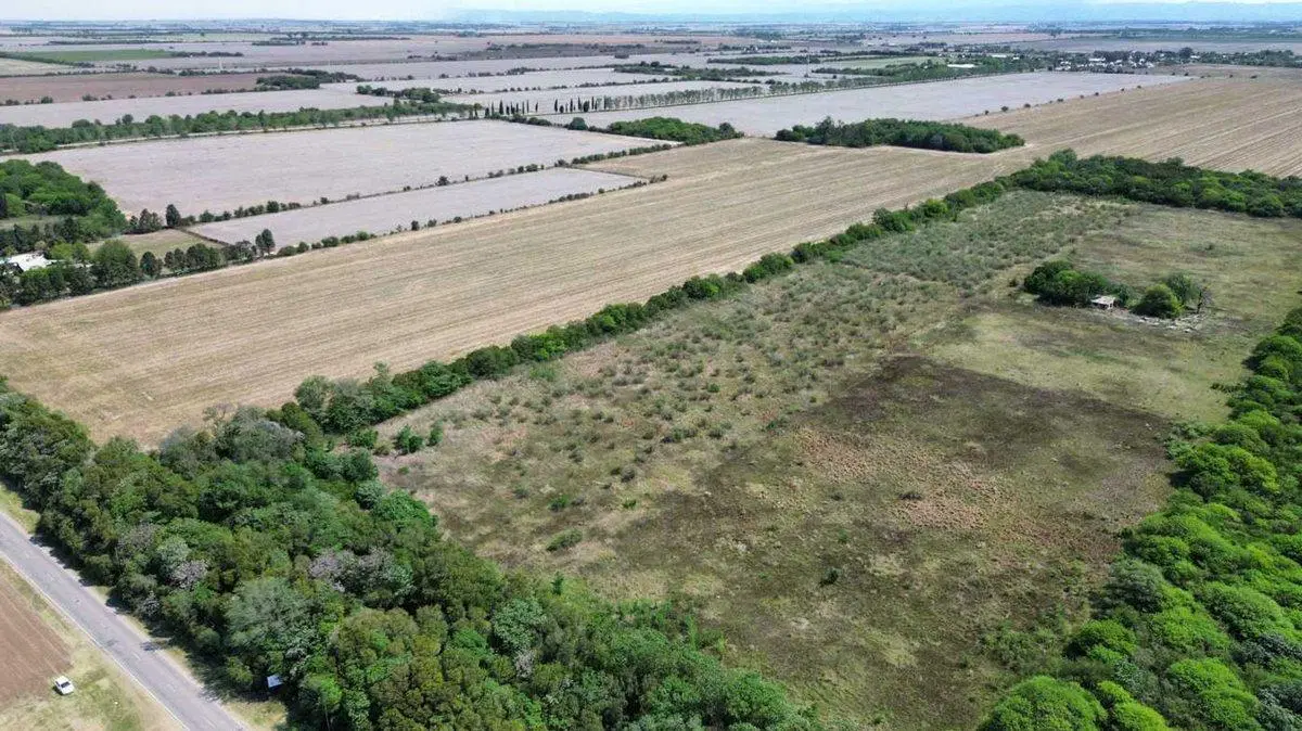 VENTA LOTE 25.000 MTRS. CAMINO SAN CARLOS KM 12,5 8