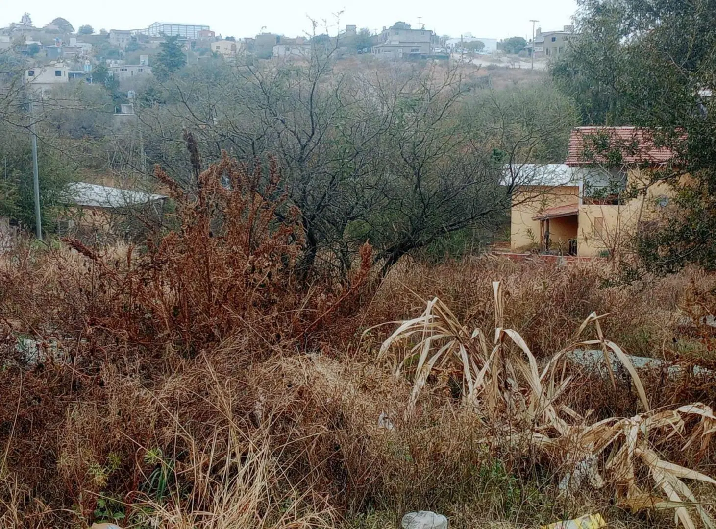VENTA TERRENO 870M2 ESQUINA EN ESTANCIA VIEJA 3