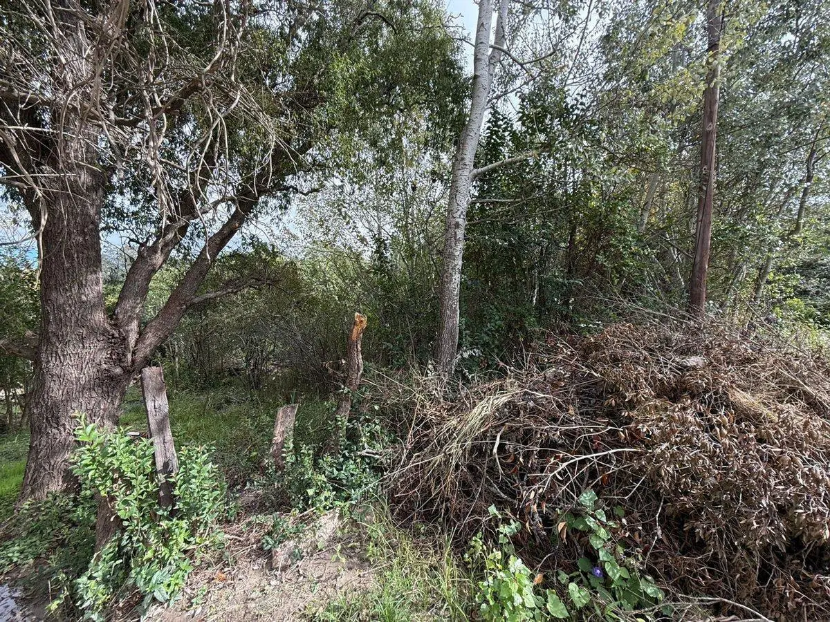 VENTA TERRENO 425 M2. TANTI NUEVO. A MT DEL RIO 4
