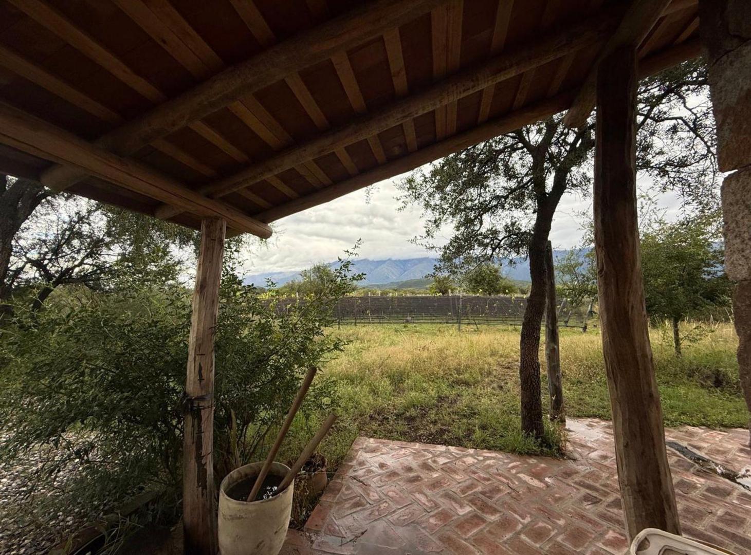 Foto de EN VENTA CASA CON VIÑEDO DE 1 HA EN LUYABA, imagen 2