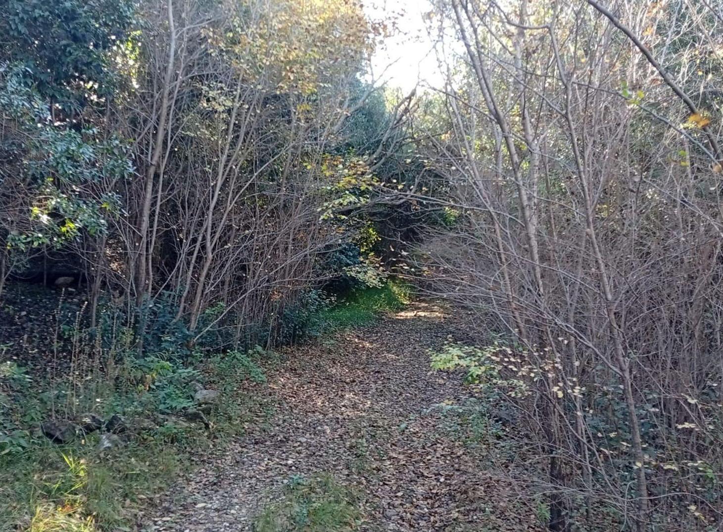 Foto de VENTA GRAN LOTE DE 1835M2 EN LA SERRANITA, imagen 2