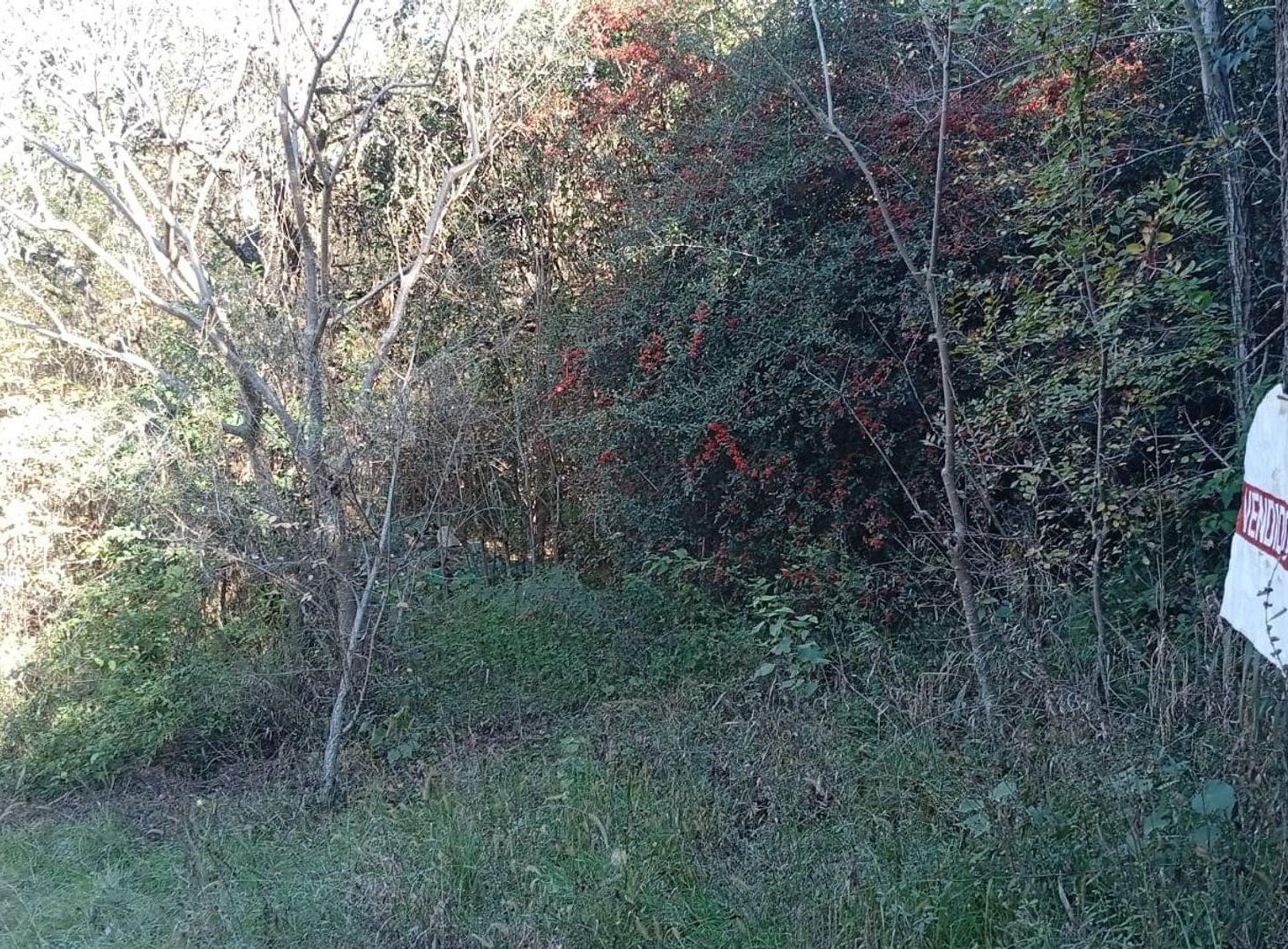 Foto de VENTA GRAN LOTE DE 1835M2 EN LA SERRANITA, imagen 3