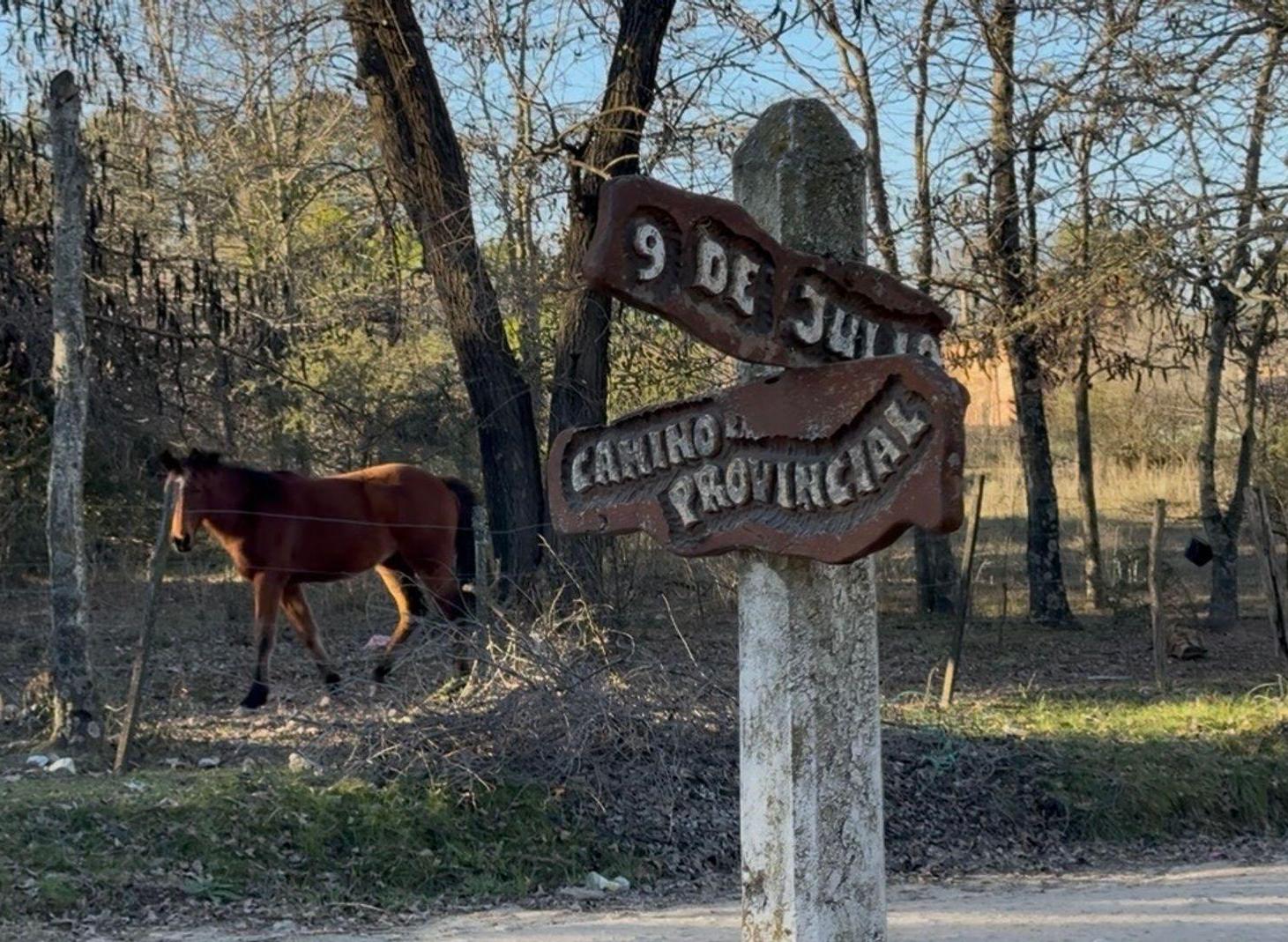 Foto de VENTA COMPLEJO DE CABAÑAS LOS REARTES, imagen 1