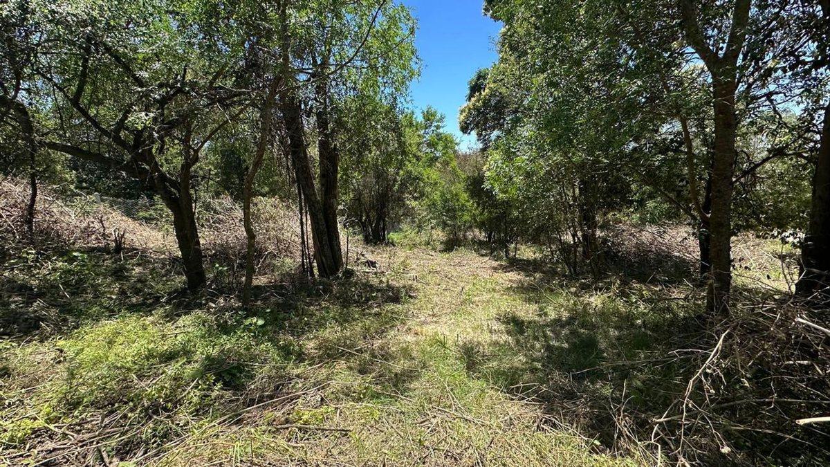 Foto de VENTA 2 LOTES DE 440 Y 400 MT EN RIO CEBALLOS, imagen 2