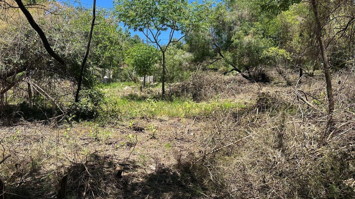 Foto de VENTA 2 LOTES DE 440 Y 400 MT EN RIO CEBALLOS, imagen 4