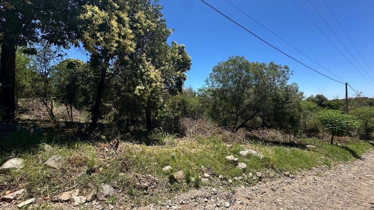 Foto de VENTA 2 LOTES DE 440 Y 400 MT EN RIO CEBALLOS, imagen 3