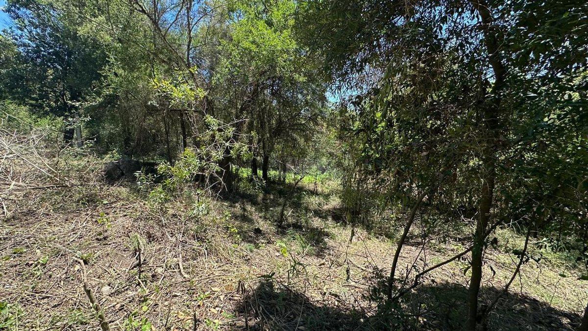 Foto de VENTA 2 LOTES DE 440 Y 400 MT EN RIO CEBALLOS, imagen 5