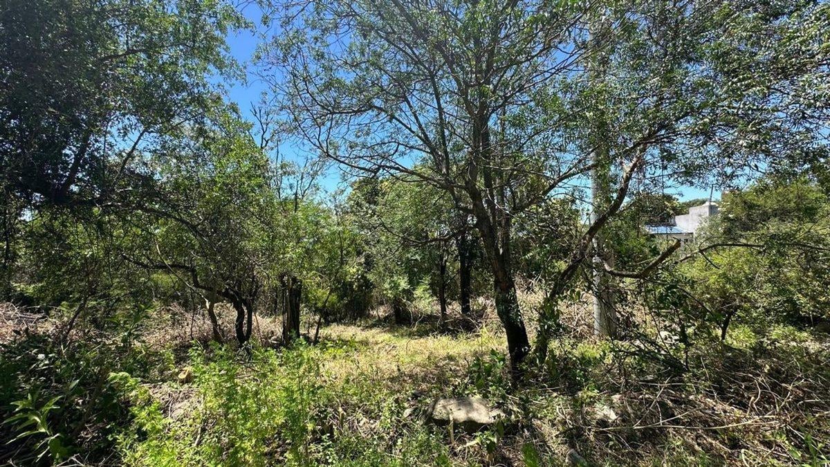 Foto de VENTA 2 LOTES DE 440 Y 400 MT EN RIO CEBALLOS, imagen 1
