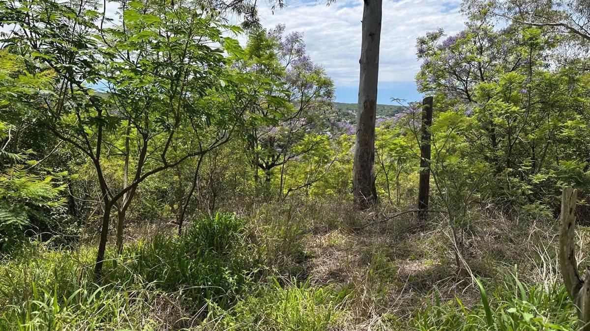 Foto de LOTE EN VENTA EN RIO CEBALLOS 534 M2, imagen 4