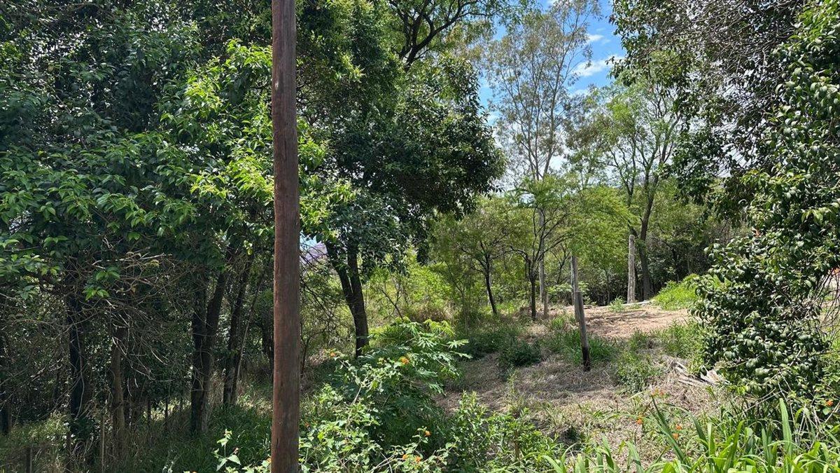 Foto de LOTE EN VENTA EN RIO CEBALLOS 534 M2, imagen 2