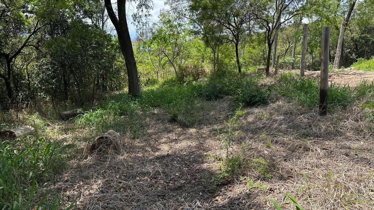 Foto de LOTE EN VENTA EN RIO CEBALLOS 534 M2, imagen 3