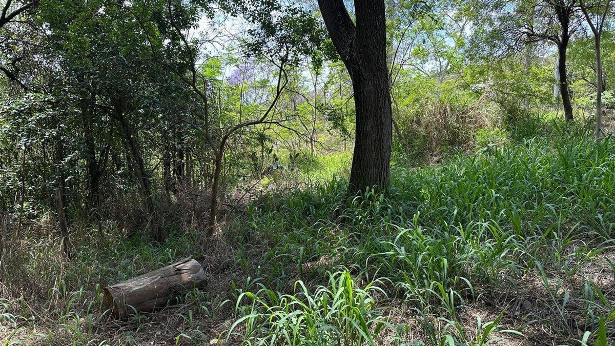 Foto de LOTE EN VENTA EN RIO CEBALLOS 534 M2, imagen 5