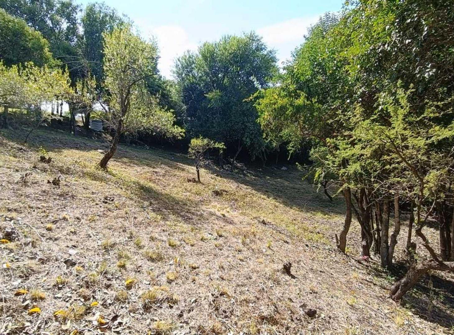 Foto de VENTA LOTE DE 2088 M2 TIERRA ALTA ALAMBRADO, imagen 5