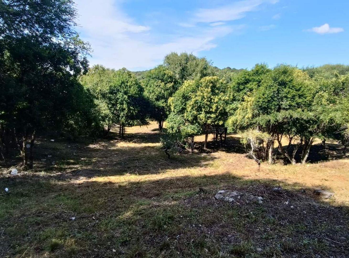 Foto de VENTA LOTE DE 2088 M2 TIERRA ALTA ALAMBRADO, imagen 1