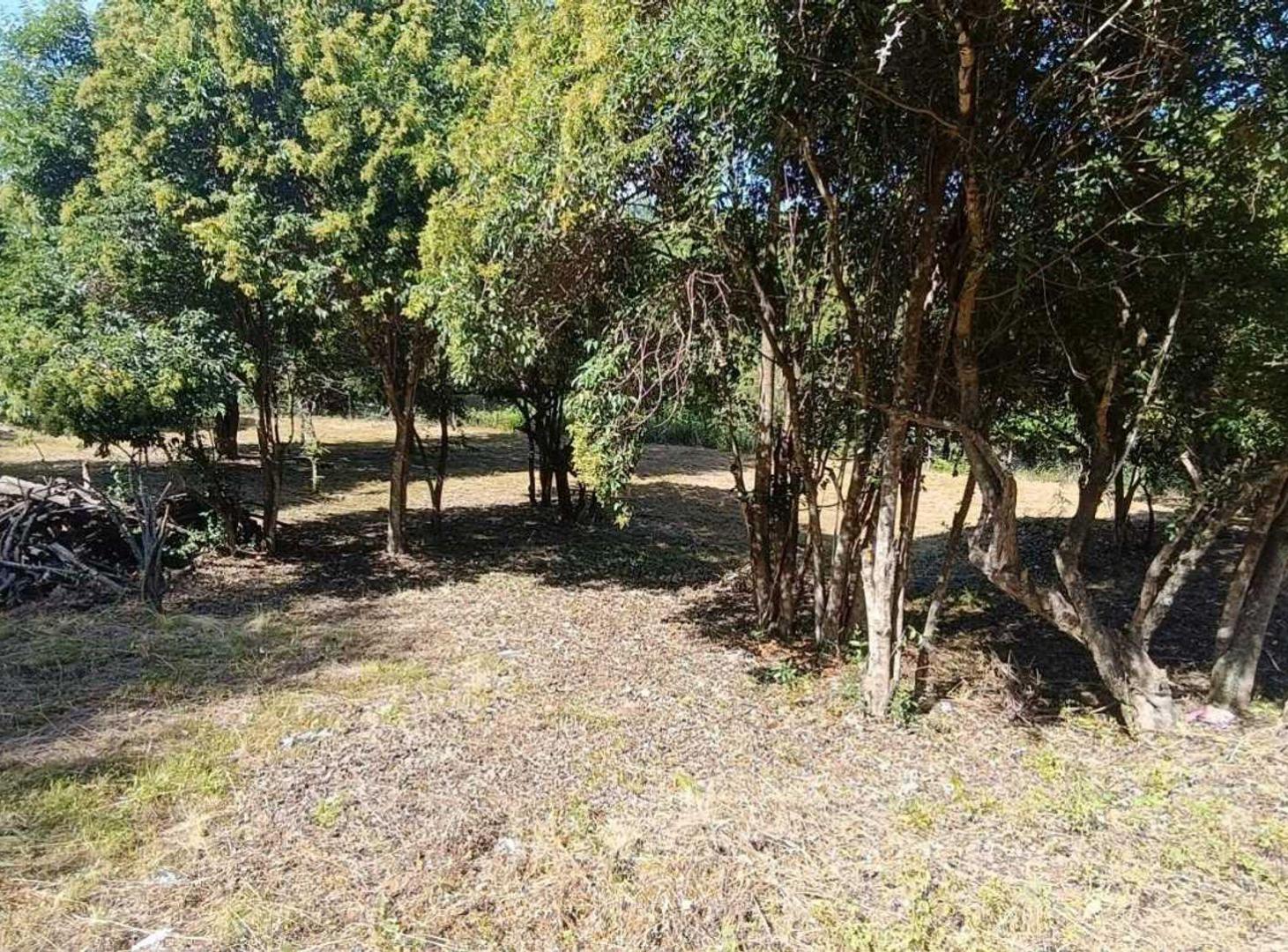 Foto de VENTA LOTE DE 2088 M2 TIERRA ALTA ALAMBRADO, imagen 4
