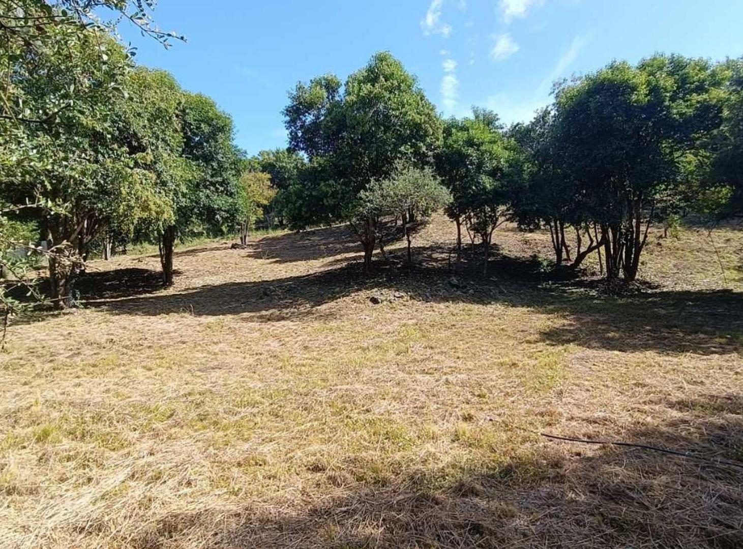 Foto de VENTA LOTE DE 2088 M2 TIERRA ALTA ALAMBRADO, imagen 2