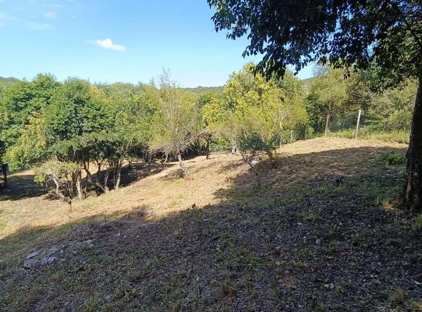 Foto de VENTA LOTE DE 2088 M2 TIERRA ALTA ALAMBRADO, imagen 3
